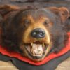 Dark brown phase black bear rug taxidermy for sale SKU 2094 2 dark brown phase black bear rug taxidermy for sale sku 2094
